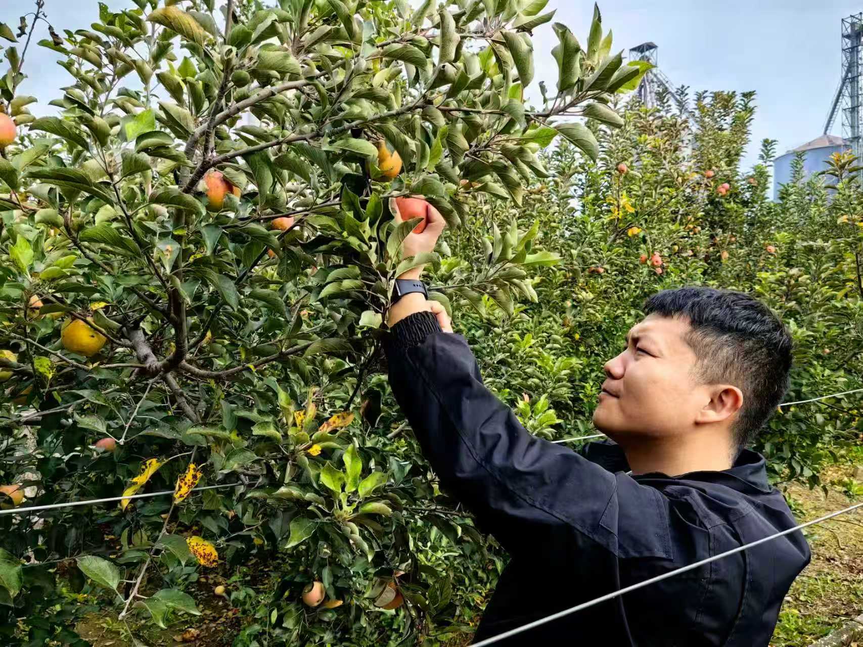 1763000071532731.jpg 微信图片_20251113101401_730_146.jpg