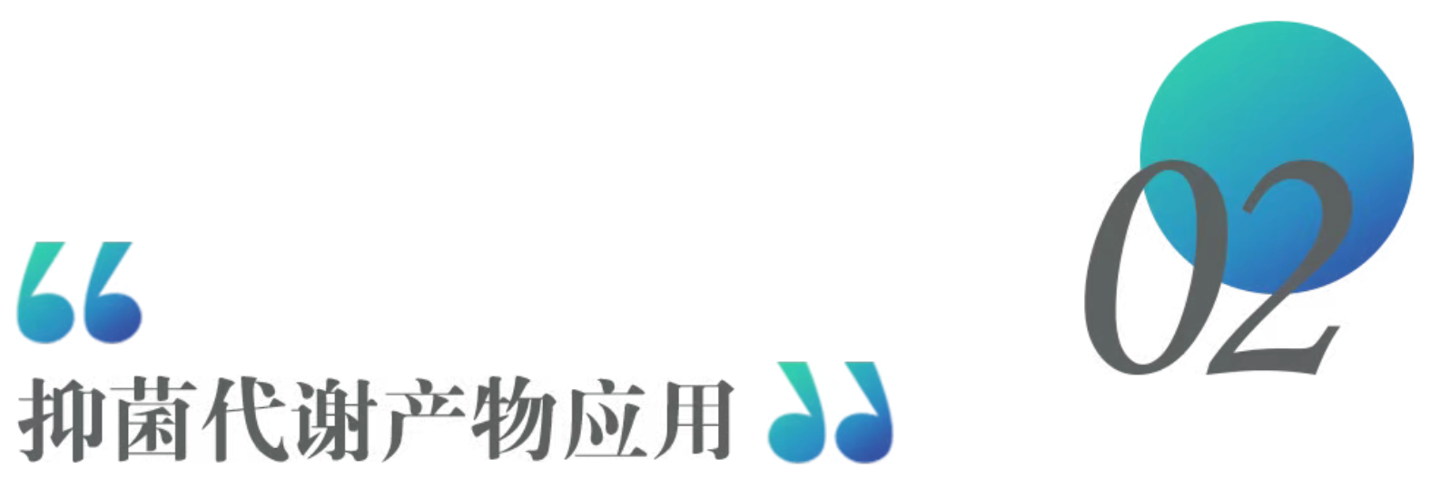 95aec34044889c8ce5b4558cff04c450.png