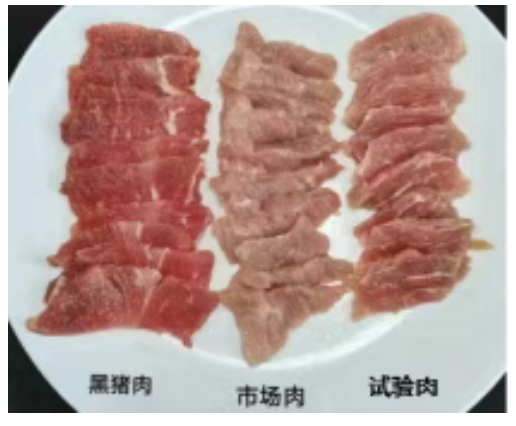 4475a23dca5694a2cc07180430f64398.png