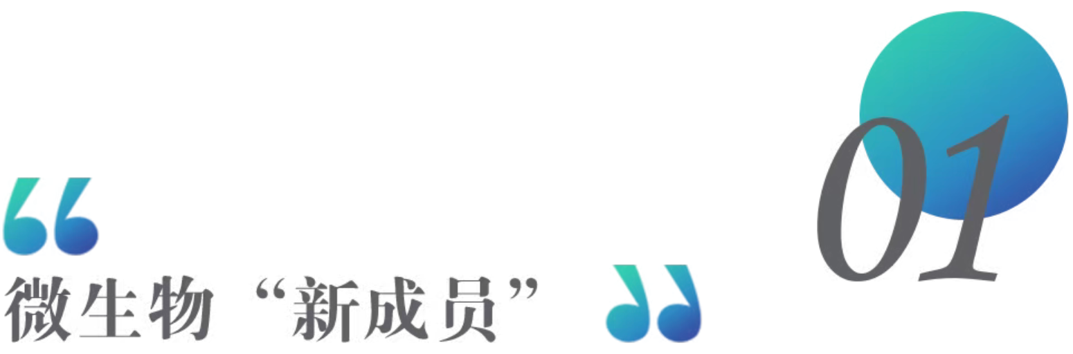 85945c485f4529060c3ef667b4387492.png